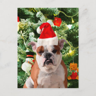 Gift Box för Santa Hat Bulldog Julgran Snögubbe Helg Vykort