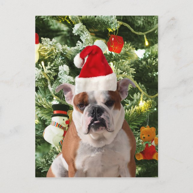 Gift Box för Santa Hat Bulldog Julgran Snögubbe Helg Vykort (Framsida)