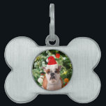 Gift Box för Santa Hat Bulldog Julgran Snögubbe ID-bricka Husdjur<br><div class="desc">Cute Bulldog-foto med Julgran Snögubbe Gift Box i bakgrunden. En perfekt julklapp!</div>