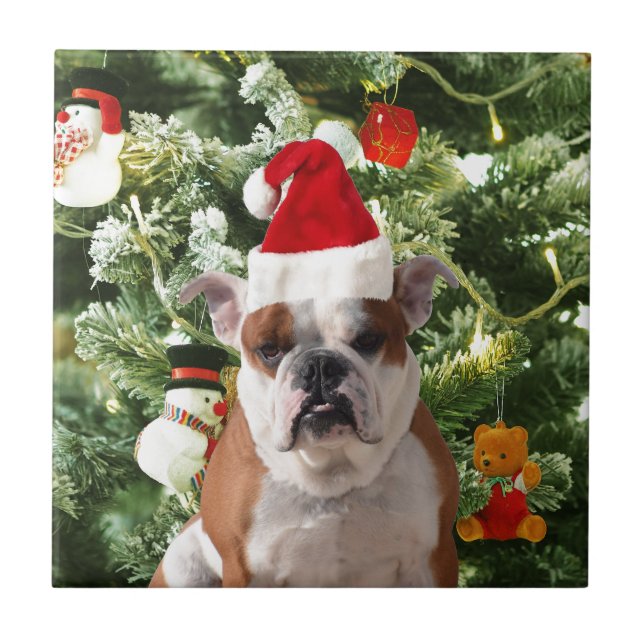 Gift Box för Santa Hat Bulldog Julgran Snögubbe Kakelplatta (Framsidan)