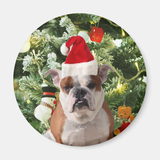 Gift Box för Santa Hat Bulldog Julgran Snögubbe Magnet (Framsidan)