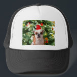 Gift Box för Santa Hat Bulldog Julgran Snögubbe Truckerkeps<br><div class="desc">Cute Bulldog-foto med Julgran Snögubbe Gift Box i bakgrunden. En perfekt julklapp!</div>