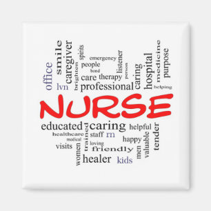 GIFT FÖR EN ***SPECIELLARE NURSE **** NURSE PIN E MAGNET
