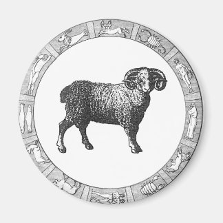 Gift i Zodiac Ring Magnet