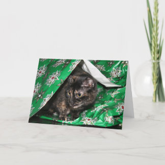 Gift inlindad sköldpadda helgkort