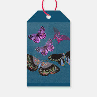 GIFT MÄRKRE BUTTERFLIES IN BLUE AND ROSA PRESENTETIKETT