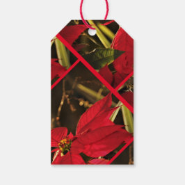 Gift Märkre Poinsettia Jul Helgdag Presentetikett