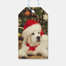 GIFT MÄRKRE WHITE Labrador-hämtare MED Santa hat