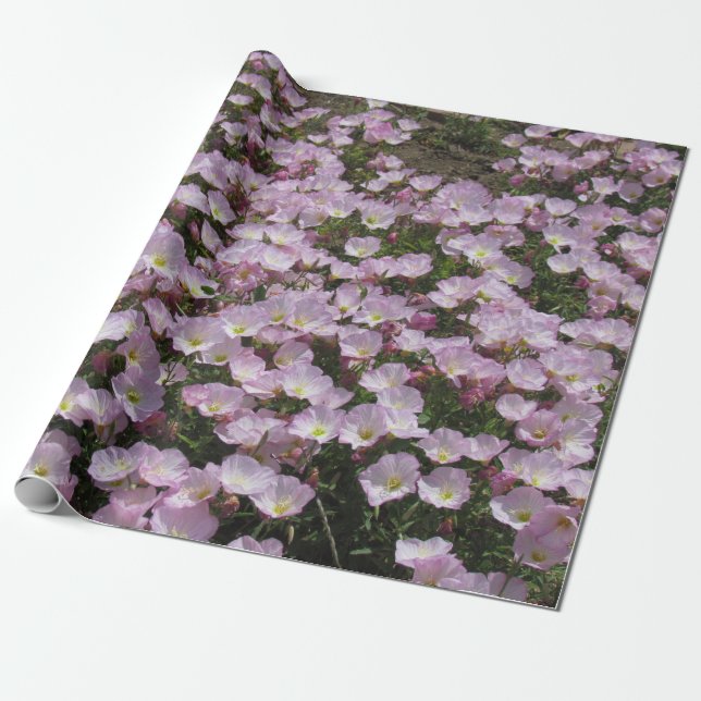Gift Wrap - Fält i Rosa Primrose Presentpapper (Utrullad)