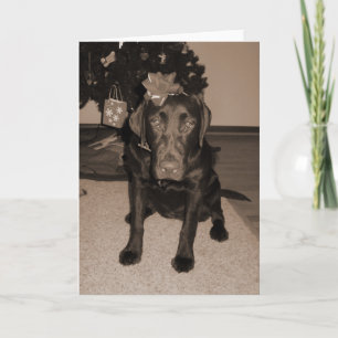 Gift Wrapped Labrador Helgkort