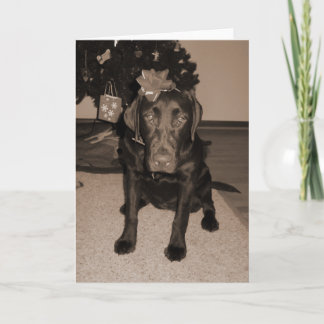 Gift Wrapped Labrador Helgkort