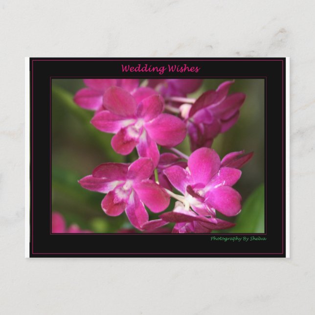 Gifta sig en vykort (Framsida)