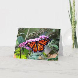 Gifta sig grattiskort för monark 5100 kort