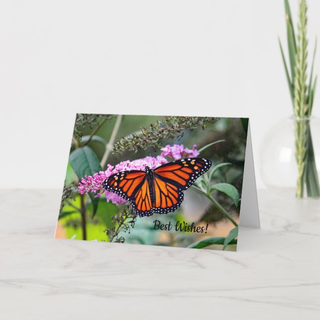 Gifta sig grattiskort för monark 5100 kort (Framsida)