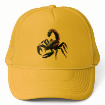 Giftig svart skorpion