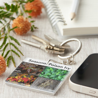 Giftmurgröna Keychain