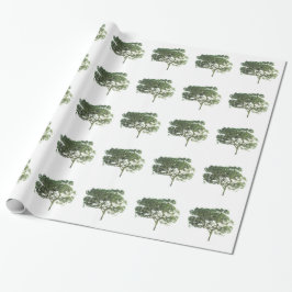 GIFTWRAPPORTERING PAPPER &KONSTRUKTION STILAR PRESENTPAPPER