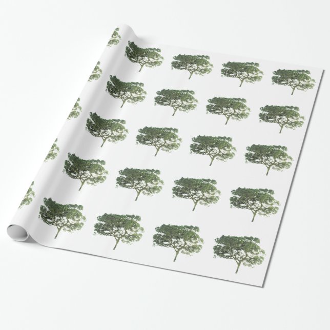 GIFTWRAPPORTERING PAPPER &KONSTRUKTION STILAR PRESENTPAPPER (Utrullad)