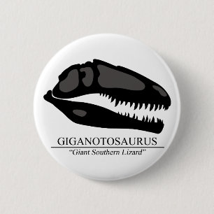 Giganotosaurus Skull Knapp