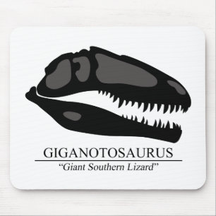 Giganotosaurus Skull Musmatta