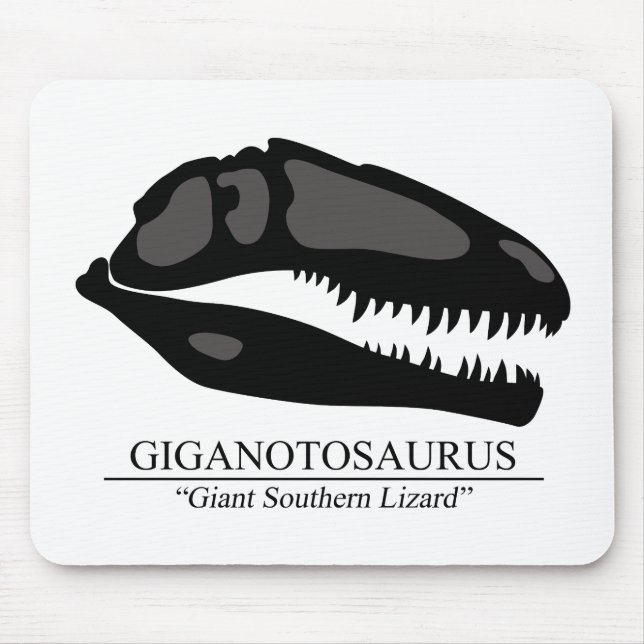 Giganotosaurus Skull Musmatta (Framsidan)