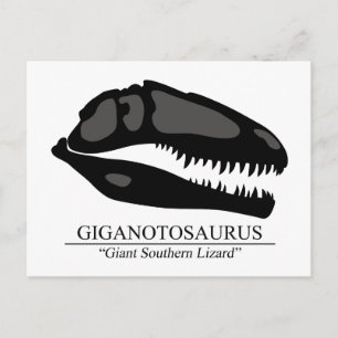 Giganotosaurus Skull Vykort