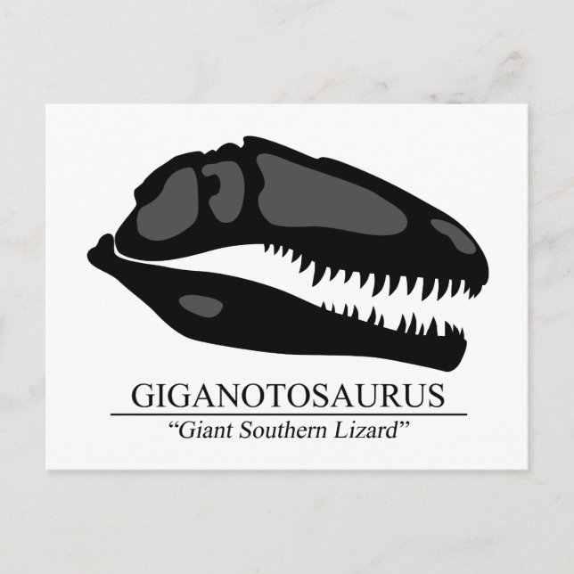 Giganotosaurus Skull Vykort (Framsida)