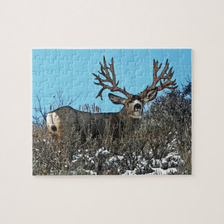 Gigantisk bock för mulehjort pussel