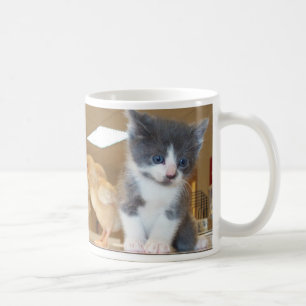 Gigantisk katt - kattunge med chickmuggen kaffemugg