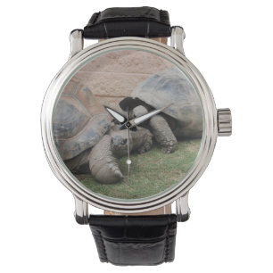gigantiska sköldpaddor armbandsur