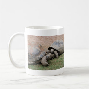 gigantiska sköldpaddor kaffemugg