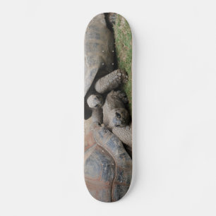 gigantiska sköldpaddor skateboard bräda 21,5 cm