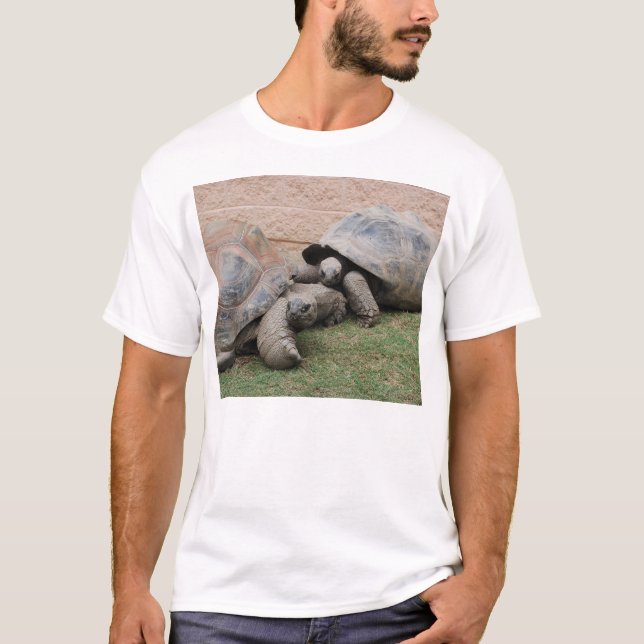 gigantiska sköldpaddor t-shirt (Framsida)