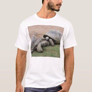 gigantiska sköldpaddor tee
