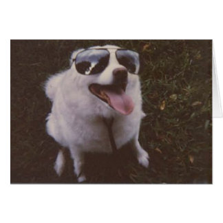 Giggie by peace ewillow hälsningskort