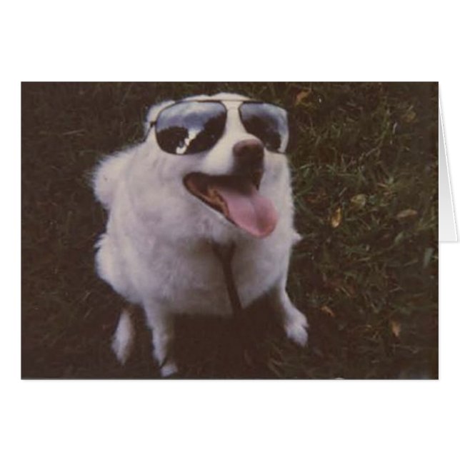 Giggie by peace ewillow hälsningskort (Framsidan Horizontal)