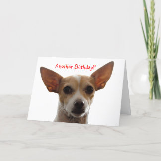 GiGi en annan födelsedag? Kort