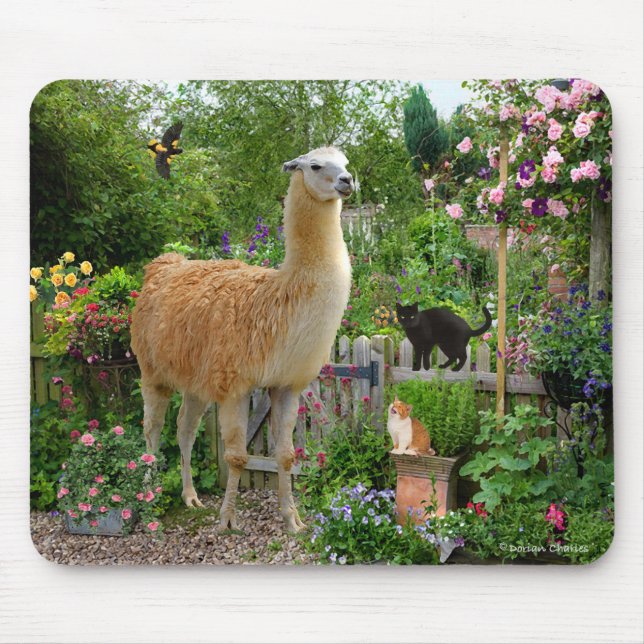 "Gigi llamaen" Mousepad Musmatta (Framsidan)