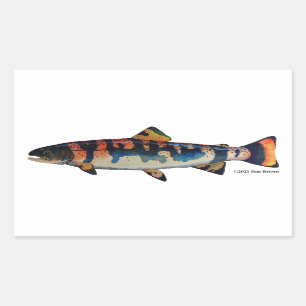 Gila Trout Rektangulärt Klistermärke