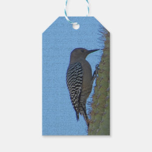 Gila Woodpecker Clings to Saguaro Cactus Arizona Presentetikett