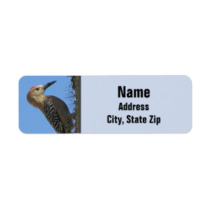 Gila Woodpecker Photo Desert Southwest Bird Returadress Etikett