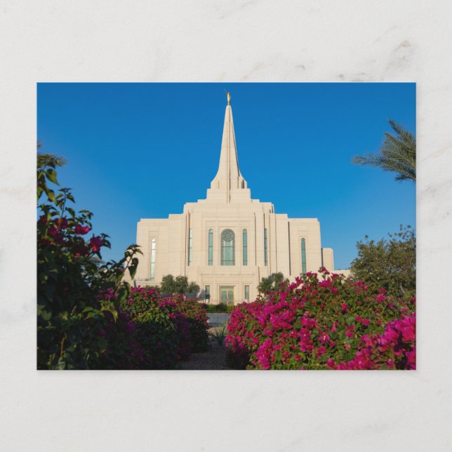 Gilbert Arizona Temple vykort (Framsida)
