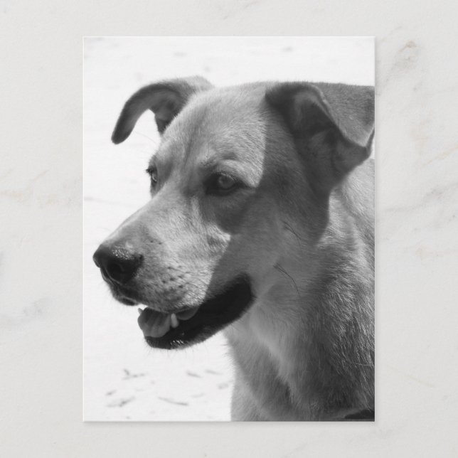 Gilbert Vykort (Framsida)