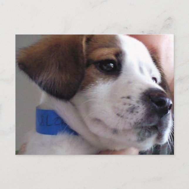 Gilbert Vykort (Framsida)