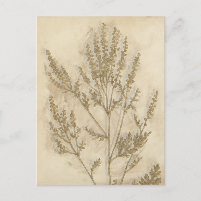 Gilded Foliage II Vykort (Framsida)