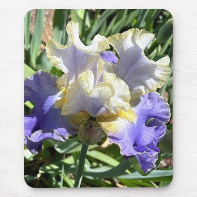 Gilded Iris Mouse Pad Musmatta (Framsidan)