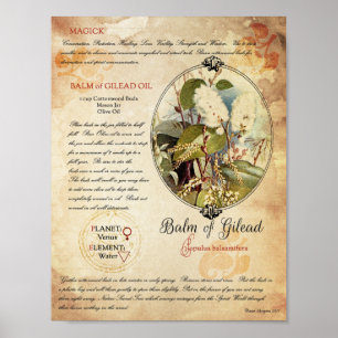 GILEAD:S BALM POSTER