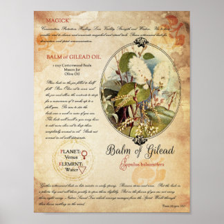 GILEAD:S BALM POSTER