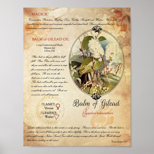 GILEAD:S BALM POSTER (Framsidan)