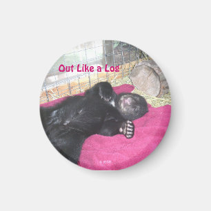 Gilla ut en loggamagnet magnet